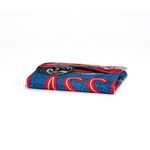 14189-25493-0530-Toalha-de-banho-Hot-Wheels-06-4