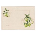 30012944-Jogo-americano-Dohler-Clean-Limone-45x31cm-4-pecas-2.jpg